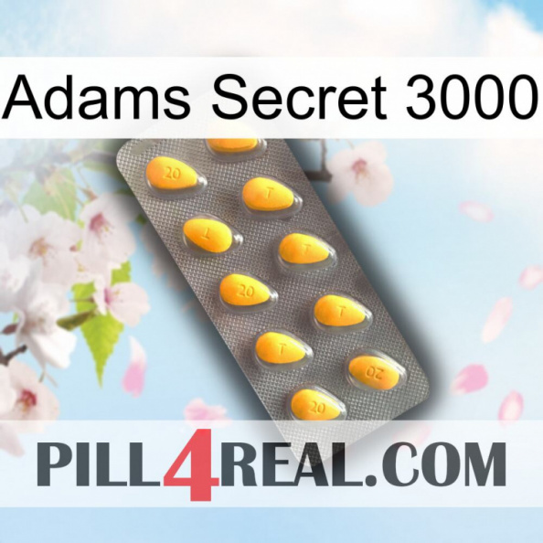 Adams Secret 3000 cialis1.jpg